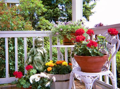 Container garden on front porch
